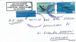 Bahamas 2021 Nicholl's Town WWF Blainville's Beaked Whale Mesoplodon Densirostris Cover - Brieven En Documenten