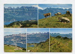 AK 079448 SWITZERLAND - Wandergebiet Flumserberg - Sarganserland - Flums