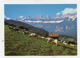 AK 079449 SWITZERLAND - Flumserberge - Schafherde Mit Churfürsten - Flums