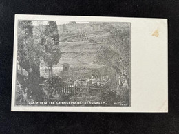 PALESTINE JERUSALEM GARDEN OF GETHSEMANE. EDITION AMERICAN COLONY JERUSALEM, ISRAEL UNDIVIDED POSTCARD 1900' - Palestine