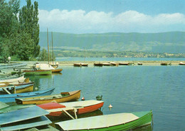 YVERDON - Le Port Et Grandson - Grandson