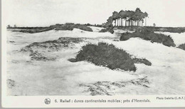 « Dunes Continentales Mobiles Près D’HERENTALS »Nels - Herentals