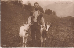 Suisse - Fribourg - A La Montagne - Armailli Ziege Chevre Goat - Fribourg