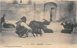 20-AJACCIO-LES CHEVRES - Ajaccio