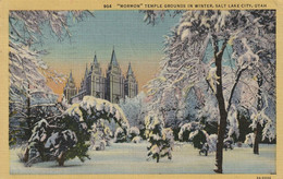 Mormon Temple Grounds In Winter - Salt Lake City