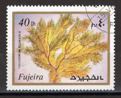 FUJEIRA - Timbre N°Michel 1026 Oblitéré - Fujeira