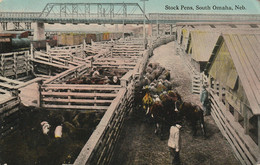 Nebraska Omaha Stock Pens. - Omaha