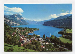 AK 079528 SWITZERLAND - Weesen Am Walensee - Weesen