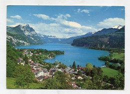 AK 079529 SWITZERLAND - Weesen Am Walensee - Weesen