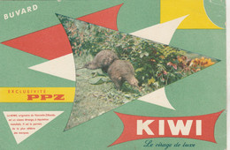 BUVARD Cirage Encaustique  KIWI - 158 - Chaussures