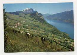 AK 079555 SWITZERLAND - Amden - Amden