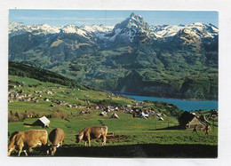 AK 079567 SWITZERLAND - Amden - Blick Auf Walensee Und Mürtschenstock - Amden