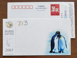 China 2003 New Year Greeting Pre-stamped Card Antarctic Penguin 1 - Antarctic Wildlife