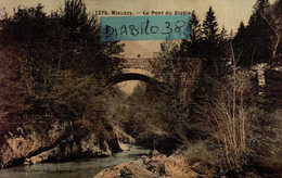 MIEUSSY   ( HAUTE SAVOIE )   LE PONT DU DIABLE - Mieussy