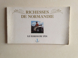 61 GOUFFERN-en-AUGE Orne Haras National Du PIN Normandie Album Complet 6 Photos Cheval Equitation - Other & Unclassified