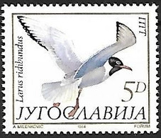 Yugoslavia - MNH ** 1984 :    Black-headed Gull  -  Chroicocephalus Ridibundus - Möwen