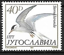 Yugoslavia - MNH ** 1984 :    Common Tern  -  Sterna Hirundo - Meeuwen