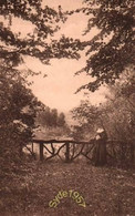 MAREDRET Abbaye Un Coin Du Jardin - Anhée