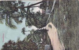 1519/ Brandons 1912 - Trinidad
