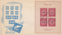 1949. ISRAEL. TABUL NATIONAL STAMP EXHIBITION MINIATURE SHEET With 4 Ex 10 Pr On Cover Ca... (Michel Block 1) - JF433303 - Otros & Sin Clasificación
