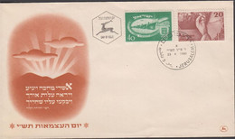 1950. ISRAEL. 40 + 20 Pr. 2nd Independence Day On Nice FDC Cancelled First Day Of Issue 23 ... (Michel 30-31) - JF433376 - Autres & Non Classés