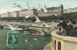 CPA Lyon - Les Mouettes Au Pont Lafayette - Colorisé - Other & Unclassified