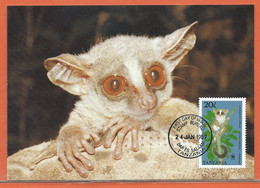 W.W.F. TANZANIE 4 CARTES MAXIMUM FDC GALAGO DE 1989 - Lettres & Documents