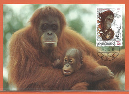 W.W.F. INDONESIE 4 CARTES MAXIMUM FDC SINGES DE 1989 - Lettres & Documents