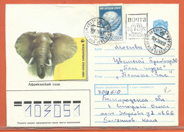 W.W.F. RUSSIE ENTIER POSTAL ELEPHANT DE 1990 - Lettres & Documents