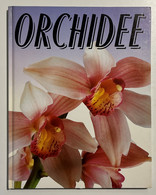 AA. VV. - Orchidee - Ed. 1989 - Other