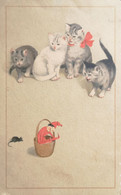 Kat - Cat - Chat - Katze - Kittens With Mouse No 2. 19?? - Katzen