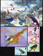 Montserrat - 2003 - Birds Of The Caribbean - Mint Stamp Set + Stamp Sheetlet + Souvenir Sheet - Montserrat
