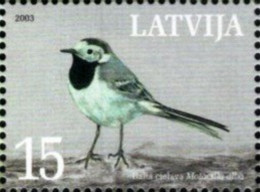 Latvia - 2003 - National Bird - White Wagtail - Mint Stamp - Lettland