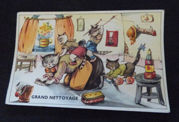 CHATS HUMANISES - GRAND NETTOYAGE - Katten