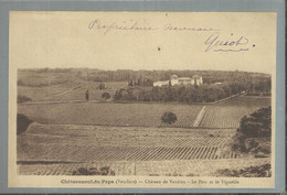 Chateau Neuf Du Pape Chateau De Vaudieu  Le Parc Et Le Vignoble Nouveau Proprietaire Guiot - Chateauneuf Du Pape