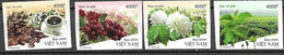 VIETNAM, 2022, MNH, COFFEE, COFFEE PLANTS, 4v ,IMPERFORATE - Other