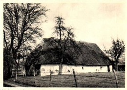 Heist-op-den-Berg: De Grootste Van Onze Bewaarde, Monumentale Kempische Schuren. Hallaaraard - Heist-op-den-Berg