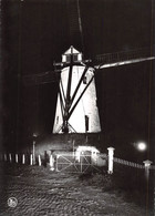 CPM - DAMME - De Molen - Verlicht. - Damme