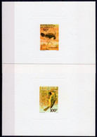 Djibouti1977, Bicycling, Birds, Ostrich, 2Deluxe Block - Autruches