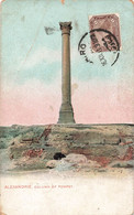 CPA Alexandrie - Column Of Pompey - Alejandría