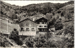 ENVIRONS DE LANGEAC  LE CHALET DE LA SOURCE A FRADES - Langeac