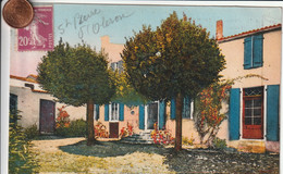 17 - Carte Postale Ancienne De L'ILE D'OLERON   SAINT PIERRE   La Maison Des Aieules - Ile D'Oléron