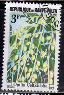 UPPER HAUTE ALTO VOLTA 1977 FLORA PLANT FRUITS OPILIA CELTIDIFOLIA 3fr OBLITERE' USED USATO - Haute-Volta (1958-1984)