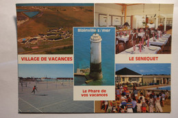 Cpsm Grand Format Blainville S/ Mer Village De Vacances Le Senequet - NOU77 - Blainville Sur Mer