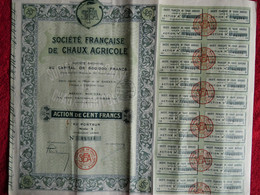 Actions De LA SOCIETE FRANCAISE DE CHAUX AGRICOLE - Siège Social à Paris - Feuille Complète - Pliée - Agricoltura