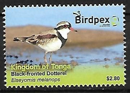 Tonga - MNH ** 2022 :  Birdpex 9 : Black-fronted Dotterel - Elseyornis Melanops - Altri