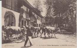 SAINT CERGUES (74) - La Ferme De L'Hôtel Montauban - Bon état - Saint-Cergues