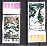 Polonia   Poland -   1992. Martin Pescatore E Cascata.Kingfisher And Waterfall. MNH - Moineaux