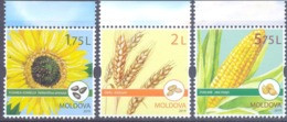 2019. Moldova, Agriculture Of Moldova, Field Crops, 3v, Mint/** - Moldova