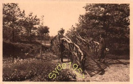 Heide : Boschzicht En Brug - Kalmthout